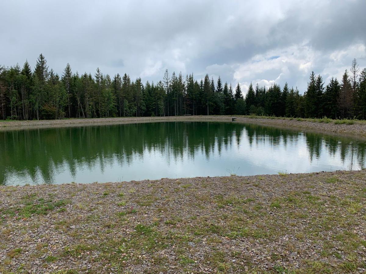 Residenz Schauinsland Todtnauberg - Fewo 17 - Sauna - Spielzimmer Fuer Kinder - Naehe Feldberg Exteriér fotografie