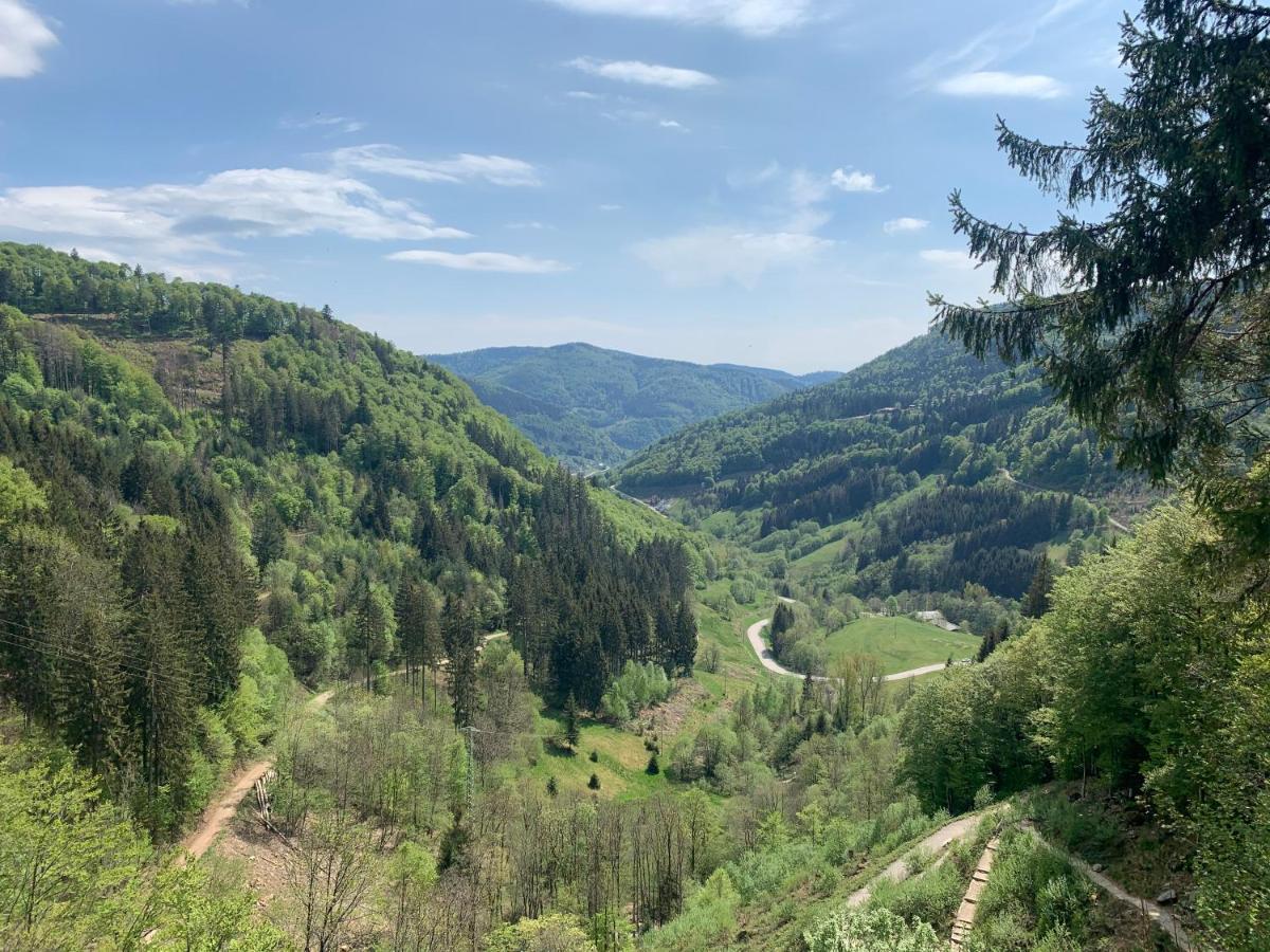 Residenz Schauinsland Todtnauberg - Fewo 17 - Sauna - Spielzimmer Fuer Kinder - Naehe Feldberg Exteriér fotografie