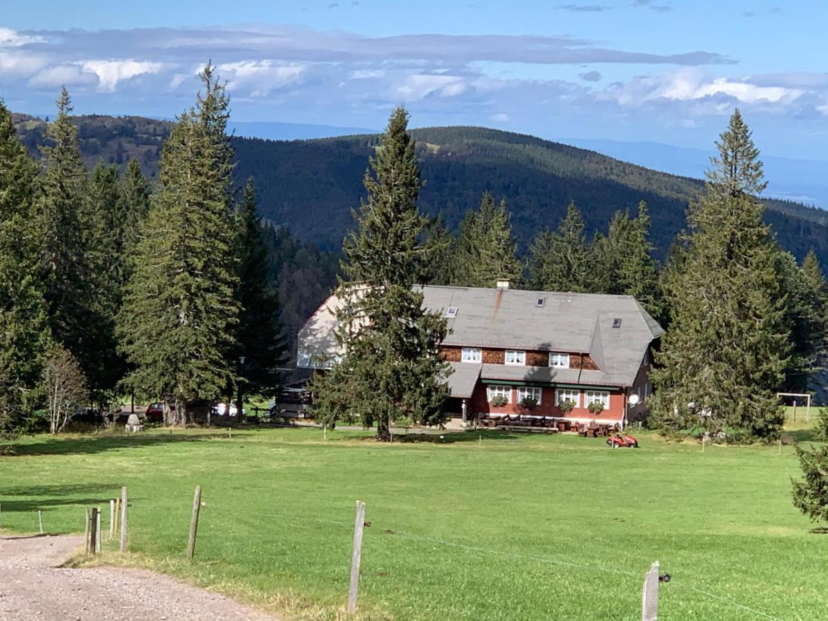 Residenz Schauinsland Todtnauberg - Fewo 17 - Sauna - Spielzimmer Fuer Kinder - Naehe Feldberg Exteriér fotografie