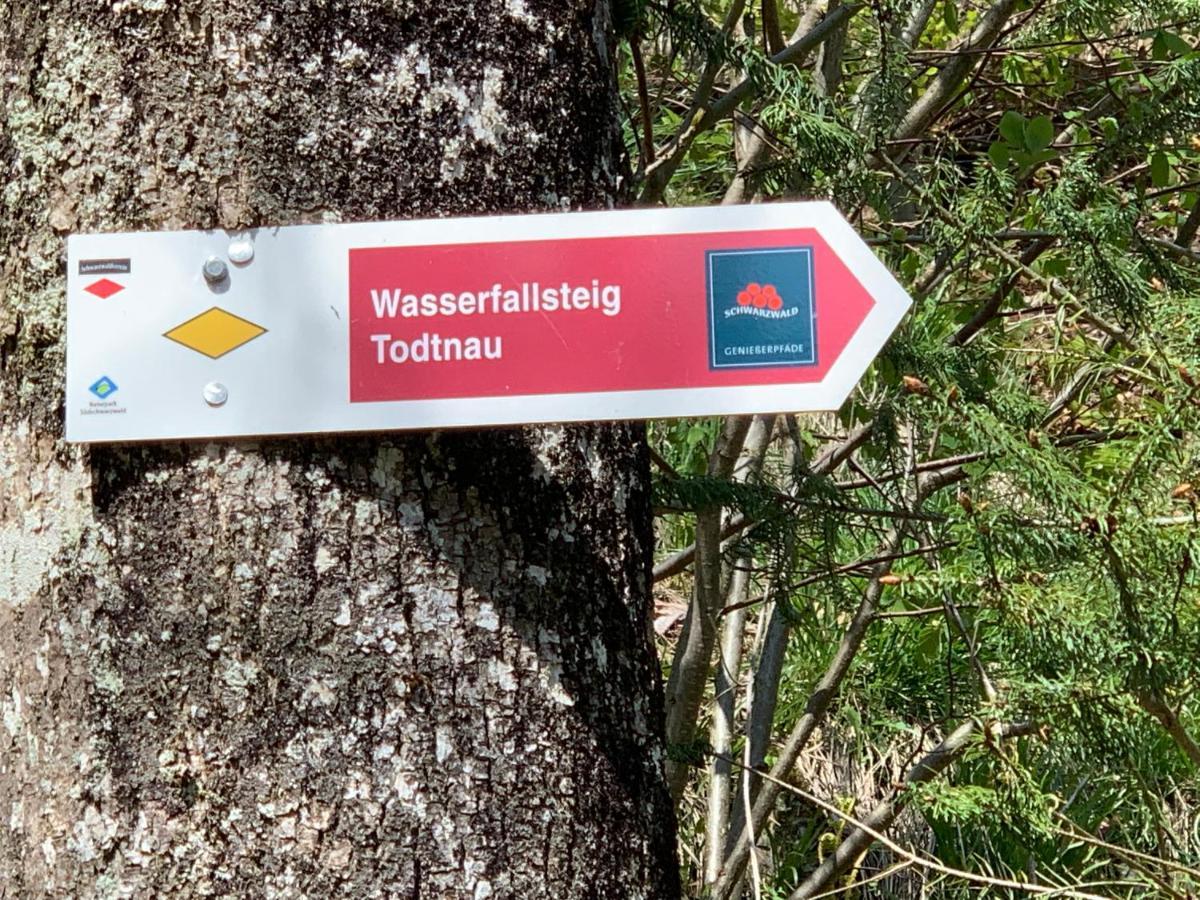 Residenz Schauinsland Todtnauberg - Fewo 17 - Sauna - Spielzimmer Fuer Kinder - Naehe Feldberg Exteriér fotografie